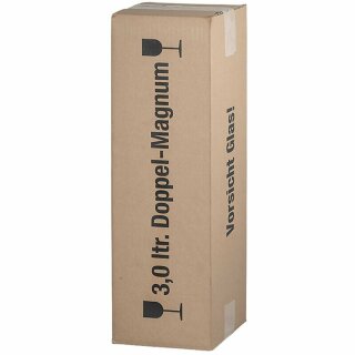 Kombiwell Flaschenkartons Magnum Doppelmagnum 3L 160x160x525mm