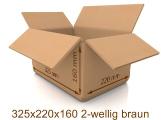 Karton 325x220x160 2-wellig braun